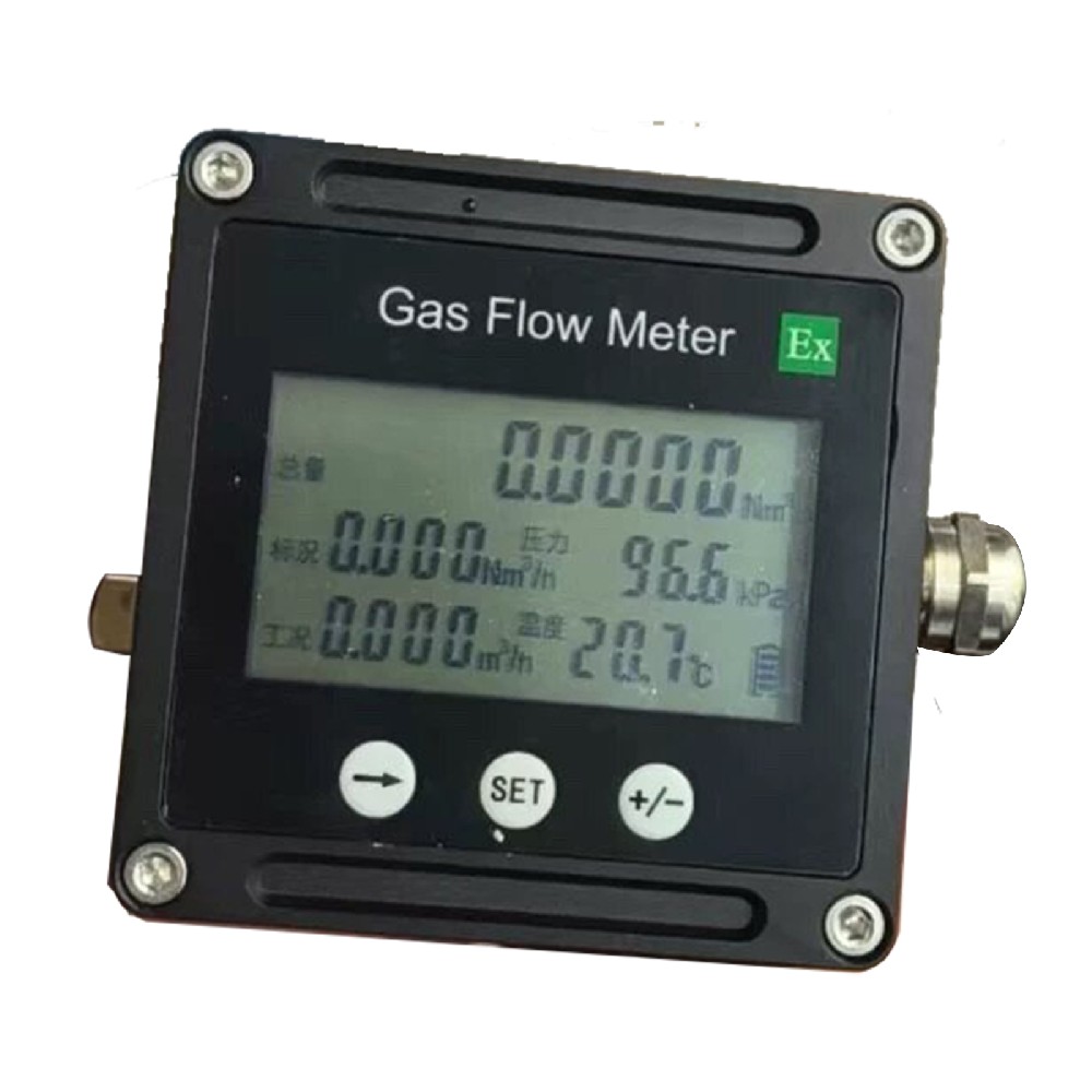 Intelligent natural gas meterr gas roots flow meter RS485/Pulse/4-20mA